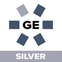 GE RFS - Silver